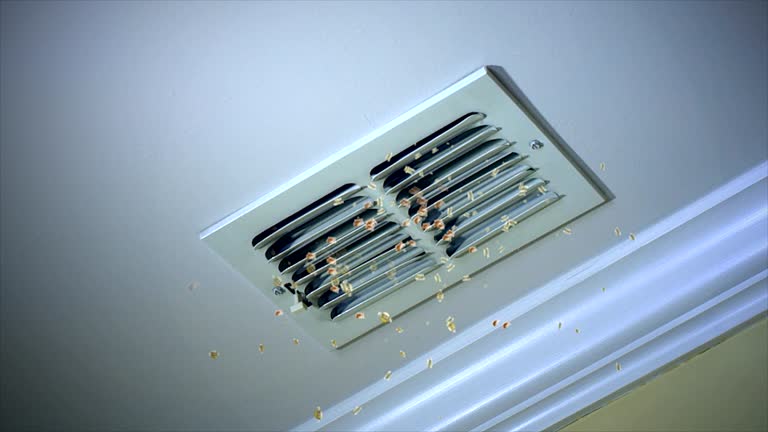 Best Emergency Air Duct Cleaning  in Pittston, PA